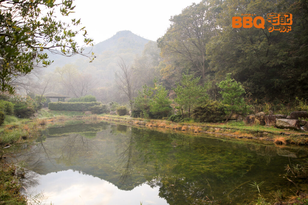 古法華自然公園BBQサイト横の池