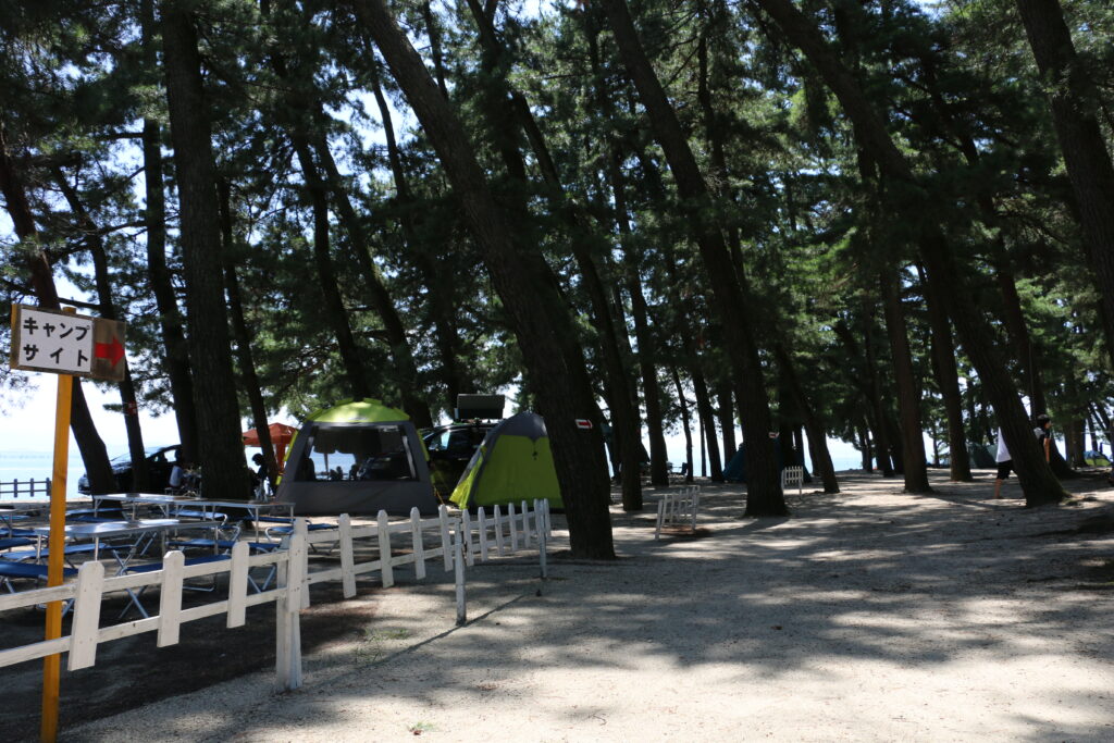 白ひげ浜水泳キャンプ場のキャンプサイト